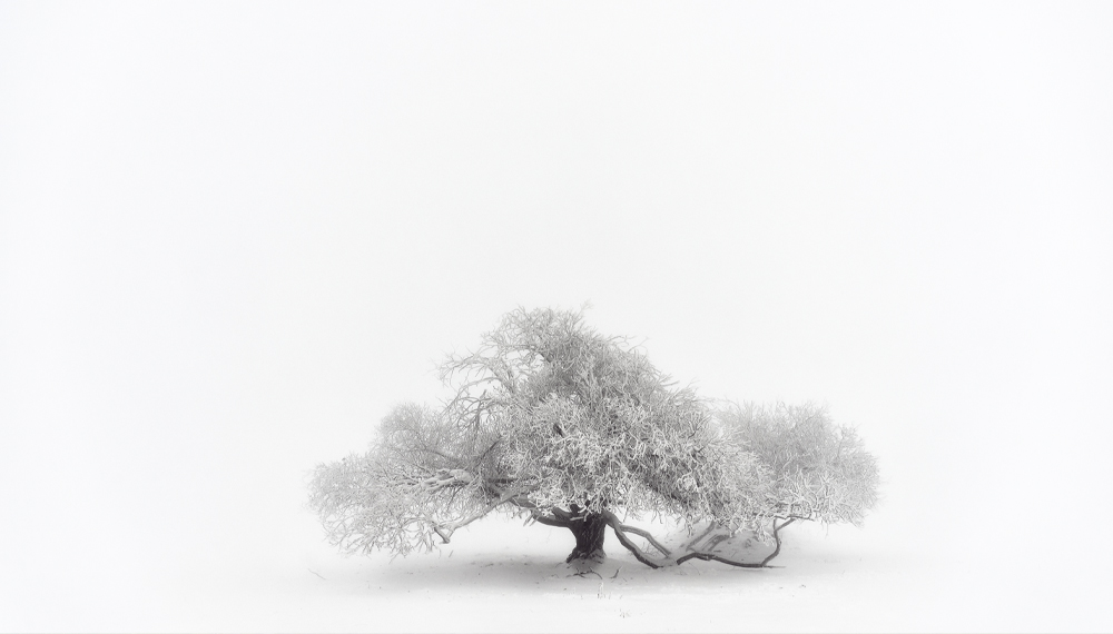 Vernisáž výstavy CZECH NATURE PHOTO